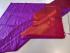 PL Softee Saree